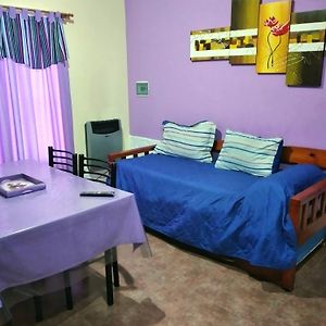 Apartamento de 1 Dormitorio